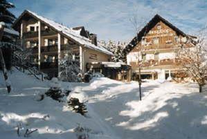 Hotel Berghof Willingen  Exterior foto